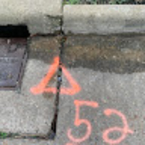 Meet your Posher, Gatos - Picture 1 of 1